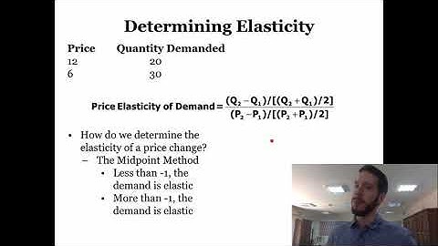 Lesson 8- Elasticity