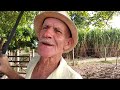Tirada de lenha no Rancho caldeira com Valtinho Da Viola