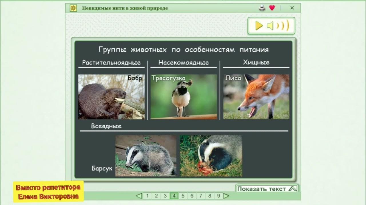 Презентация на тему невидимые нити 2 класс. Задание по теме невидимые нити. Невидимые нити презентация. Невидимая нить. Невидимые нити песня.