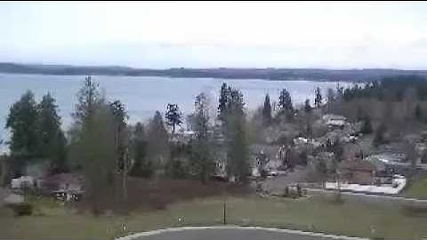 Tree Service Bellingham WA