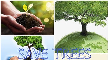 Save trees | Animation | Anunay films | New video