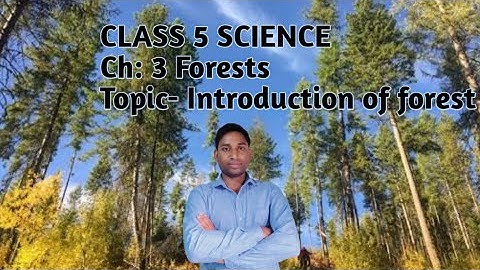CLASS-V SCIENCE Ch-3 FORESTS ( Part-1) Topic- introduction of forest