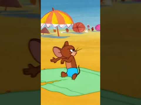 Sürekli kıyafetsiz dolaşan Tom&Jerry plajda kıyafetle dolaşıyor 😄😄