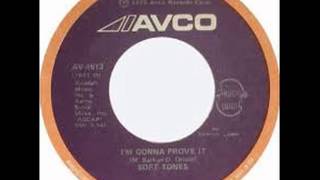 THE SOFT TONES ~ I´M GONNA PROVE IT screenshot 3