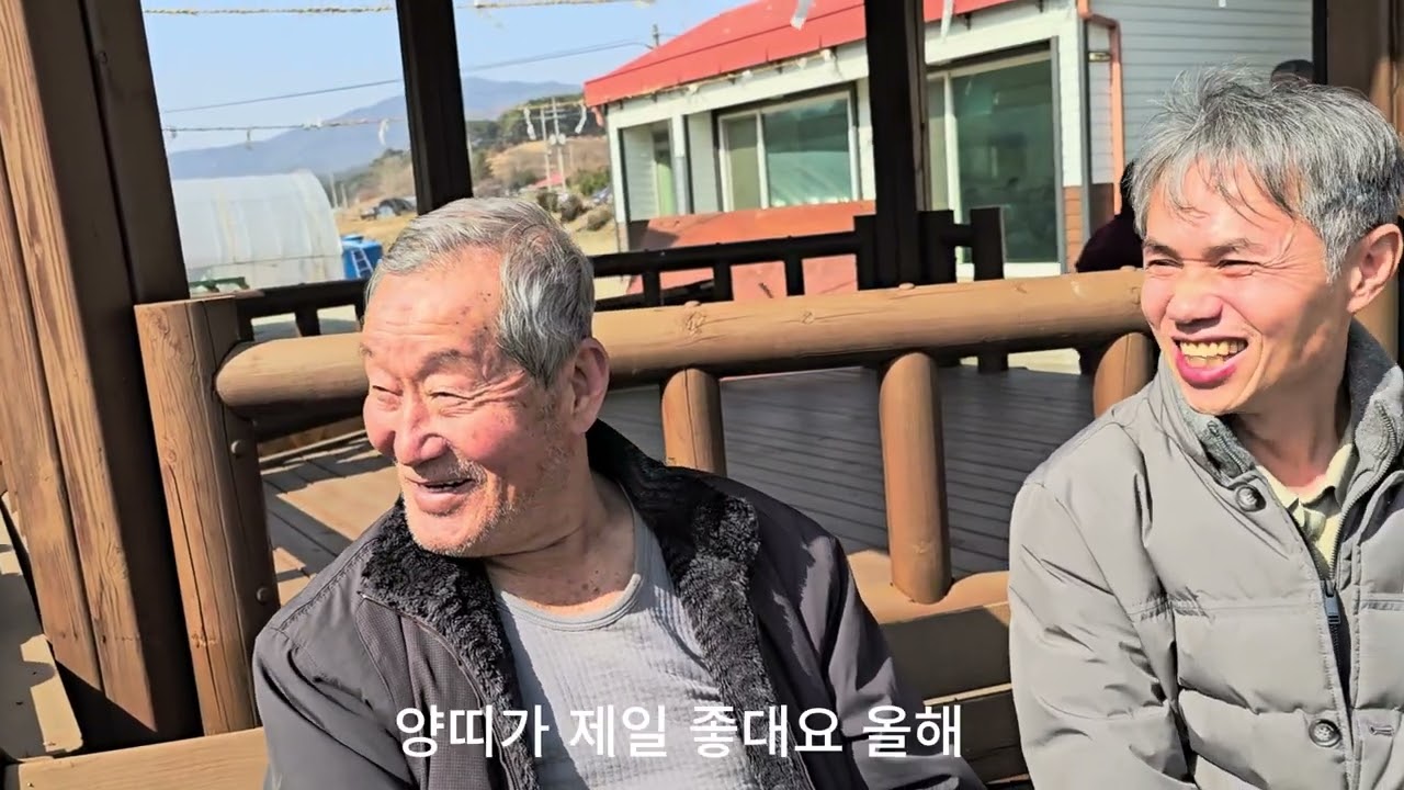 [청양기록] 642년 전 봉황이 떨어뜨린 황금 씨앗? 봉암리 행단제