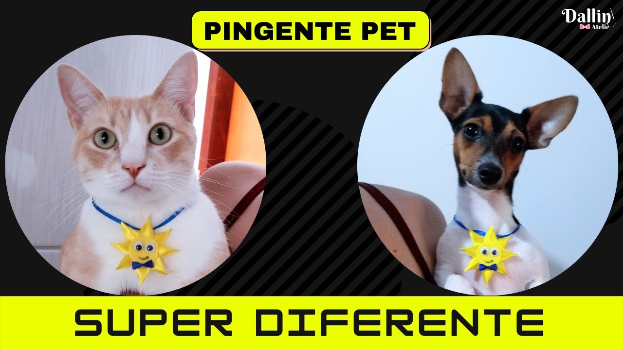 Pingente Pet para ser usado de VÁRIAS Maneiras Fácil e Diferente