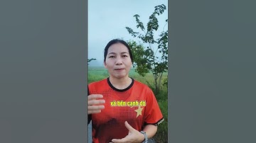 Chạy bộ có giảm mỡ máu không? | Dược Sĩ Hiếu #short #shorts #duocsihieu