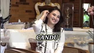 CANDU ( OFFICIAL MUSIK VIDEO ) CIPTA KANG DEDI MULYADI