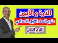 الذرة و الايون -  العلوم  -  الصف الاول الاعدادي  - الترم 2  - نفهم دروس مجانية