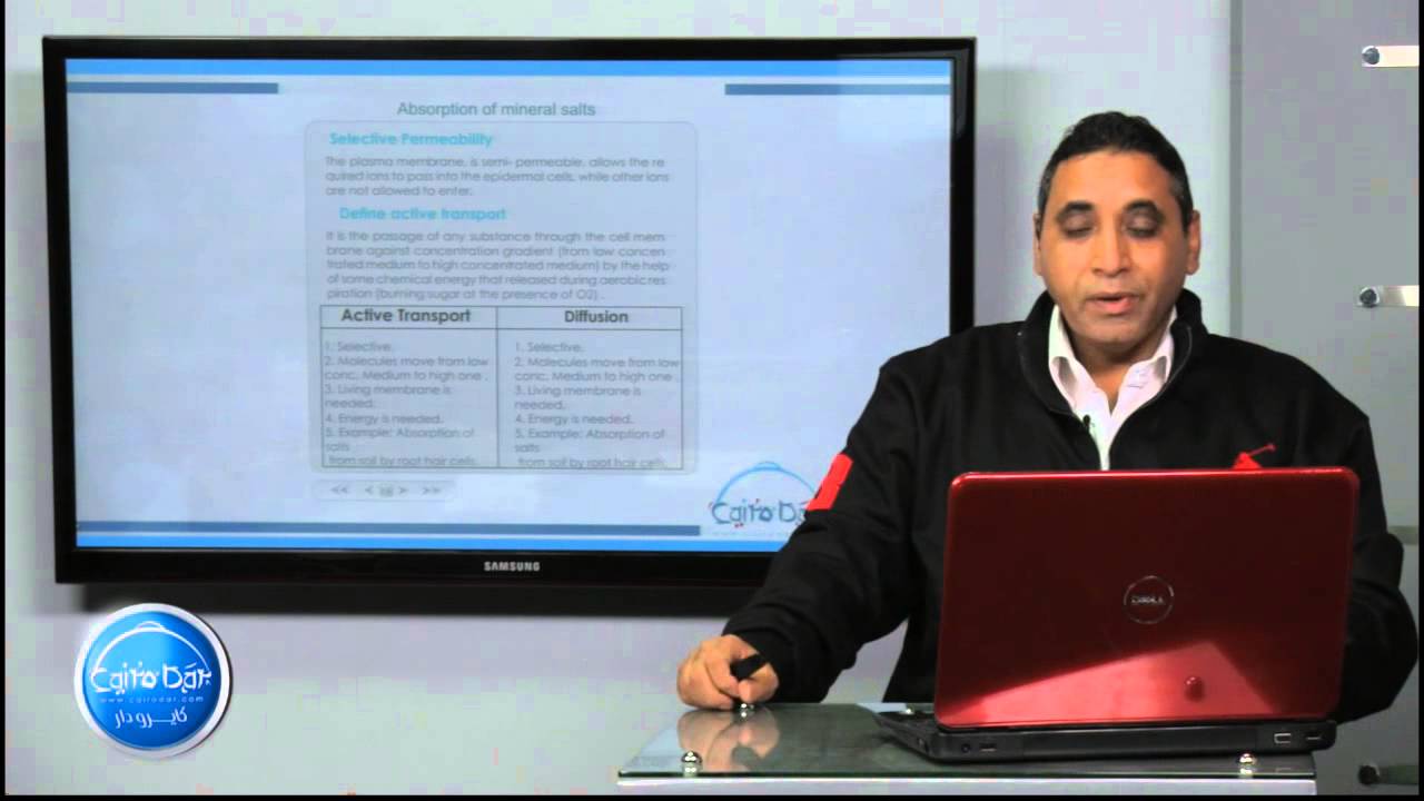 02 Explanation of Water absorption YouTube