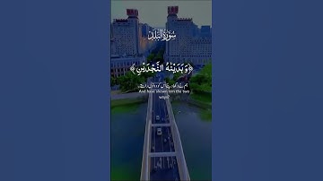 سورة البلد للقارئ علاء عقل 🤍 #اكسبلور #المصحف #الله #دويتو #لايك #الرحمن #راحة_نفسية #تيك_توك #الله