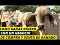 Cómo Ganar DINERO💰Con Un NEGOCIO De Compra Y Venta De GANADO🐮|PasionPecuariaRD