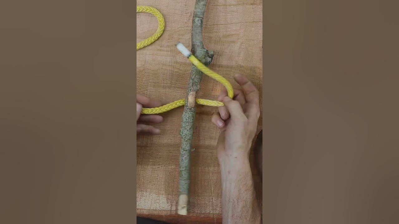 How to tie a half hitch #arborist #treework #tree #shorts 