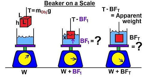 Physics 33.5  Buoyancy Force (9 of 9) Beaker on a Scale - DayDayNews