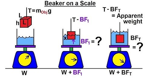Physics 33.5  Buoyancy Force (9 of 9) Beaker on a Scale