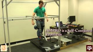 Introducing AMPRO: Translating Robotic Locomotion to Powered Transfemoral Prosthesis