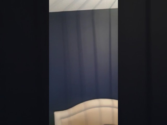 Video 1: