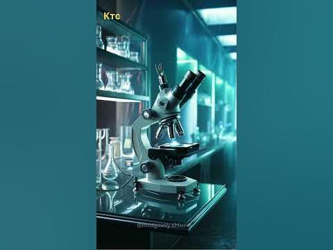 Интересные вопросы #викторина #знания #тест #тестнакругозор #угадай # ...