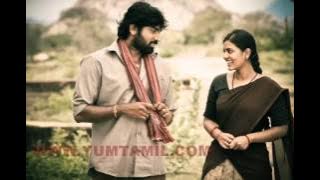 Enakkaga Poranthaye   Pannaiyarum Padminiyum 2013