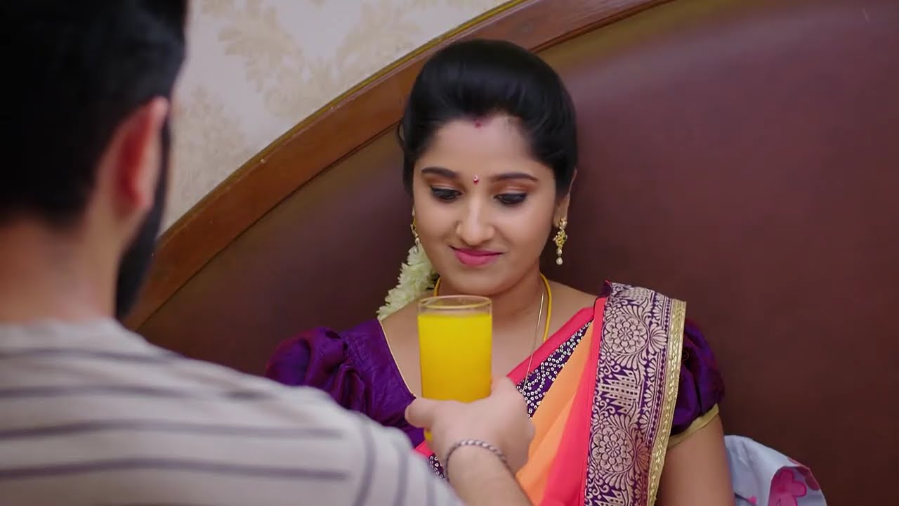 Kalyana Vaibhogam - Ep 1145 - Meghana Lokesh - Telugu Tv Serial - Zee5 Telugu Classics