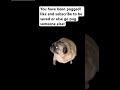 You have been pugged. These are the tricks to save yourself #edit #puggy 