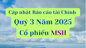 Cập nhật Báo cáo tài chính Quý 3 Năm 2025 của cổ phiếu MSH