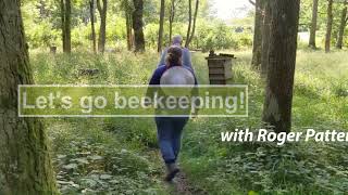 Optimising a honey bee brood box before winter