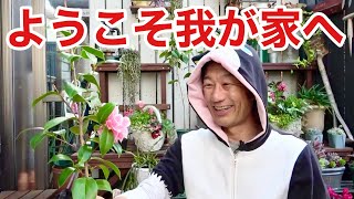 念願の咲いた花がとんでもなく美しかった　【園芸超人カーメン君】