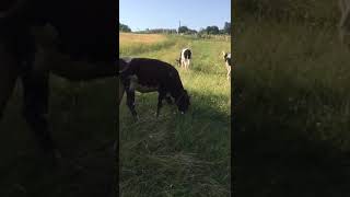 4 Haziran 2024 Resimi