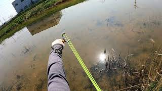 Slingshot fishing 2022.04.19 Настрелял сазанов и карасей на рогатку
