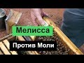 №106 Мелисса Против Моли  моль | Пчеловодство