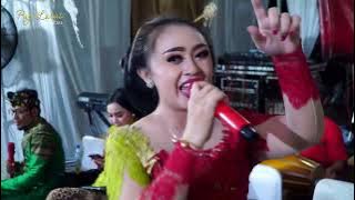 Full Sragenan  - Tetesing Tresnoku - Esemu -  Sesideman -  Puji Laras campursari - nya Indonesia.