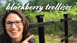 Blackberry Trellis Design-Build — DIY Start to Finish! by ReSprout 43,287 views 3 years ago 10 minutes, 3 seconds