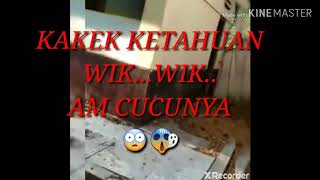 KAKEK KETAHUAN WIK..WIK AM CUCUNYA😲😤😱