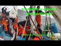 INCREÍBLE, tremendos peces y tiburones atrapados con redes en altamar
