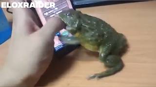Instant Regret Compilation #4 🔥😂