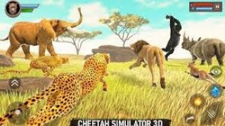 Cheetah Simulator 3D 🐆🔥 | Wild Animal Survival & Hunting Challenge | Vijendra Rajput Gamer screenshot 3