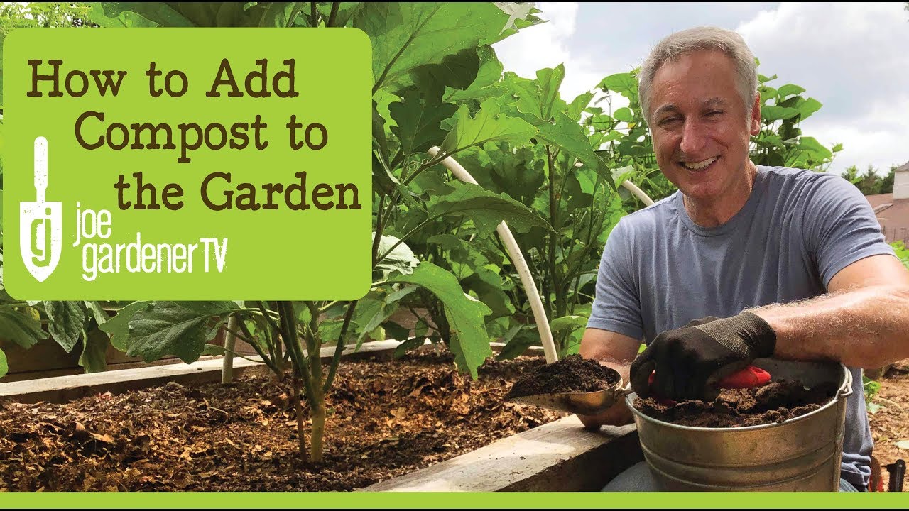 How To Add Compost In The Garden Youtube