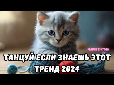 💗ТАНЦУЙ ЕСЛИ ЗНАЕШЬ ЭТОТ ТРЕНД 2024💗