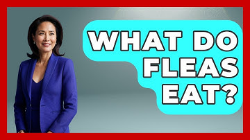 What Do Fleas Eat? - Insects and Invaders