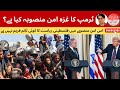 Trump's Gaza peace plan- will it end war?