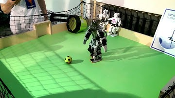Robot Soccer Player Bioloid
