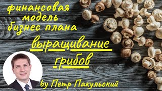 Бизнес план фермы по выращиванию грибов (шампиньоны)