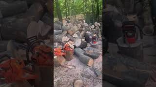 ran the saws today it was a great day for it 👍👍👍🤘🤘🤘 #firewood #echo