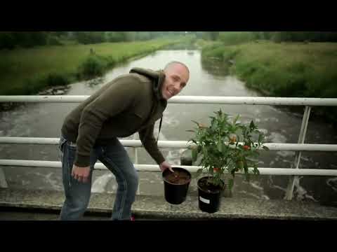 Watering plants - how and how often -  EP04 S1 by CANNA