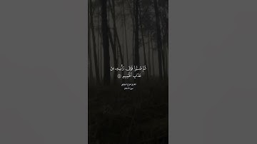 #هزاع_البلوشي #تلاوات #آيات #القرآن_الكريم #قرآن #تلاوة #قران_كريم #قران #تلاوة_خاشعة #القرآن #quran