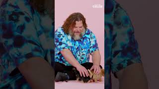 “What A Sweet Petunia!” 🫶🏻🐶 | Jack Black And Awkwafina: The Puppy Interview #Jackblack