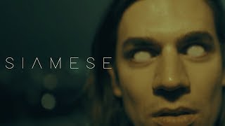 Siamese - Soul And Chemicals (Music Video) chords