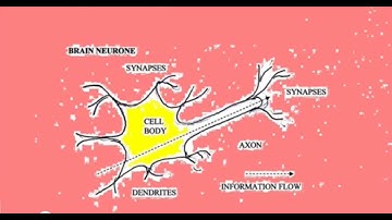 Artificial Neural networks. Linear Separability. AI.I.