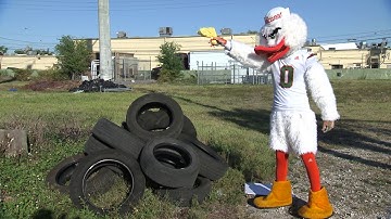 Dirty Crimes Carry Fines - Report Illegal Dumping on 311 Direct App